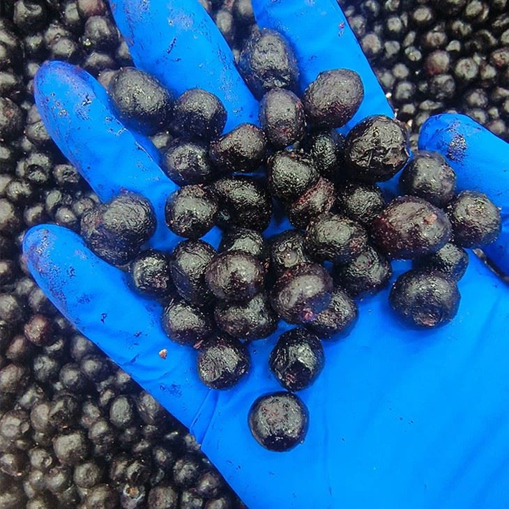 Frozen unsweetened blueberries