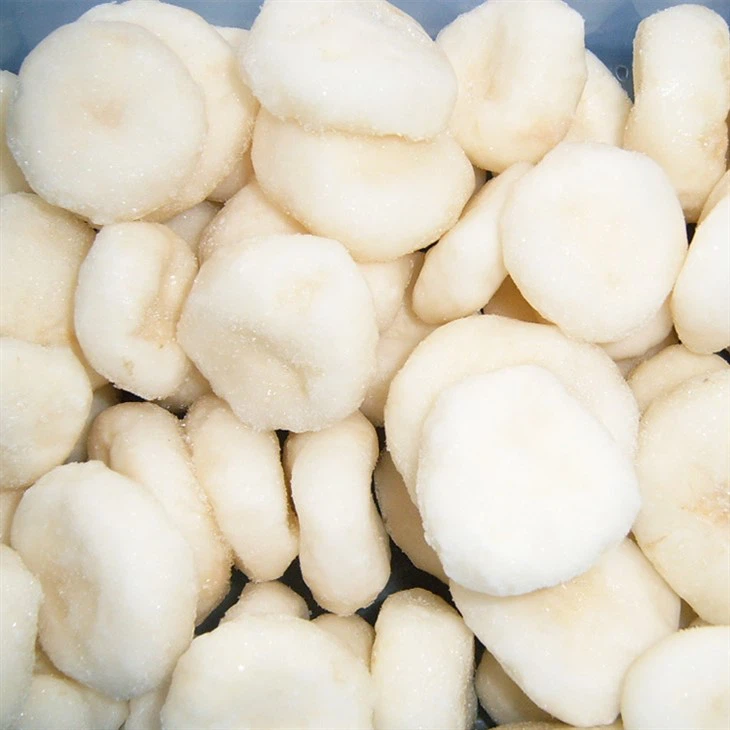 freezing Water Chestnut