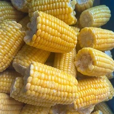 Frisk frosset sukkermajs