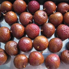 IQF Litchi